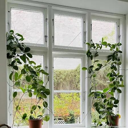 公寓 Apartmentincopenhagen 1466 哥本哈根