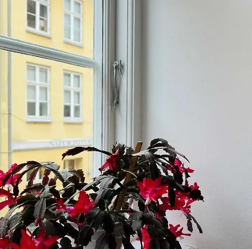 Apartmentincopenhagen 1466 * 코펜하겐